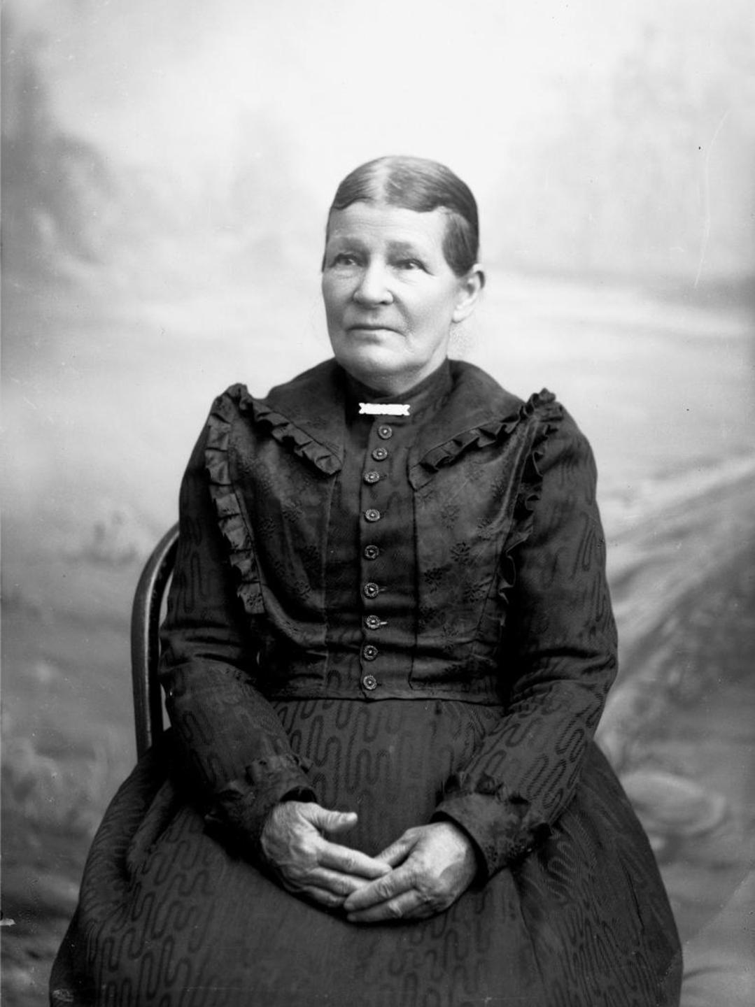 Julia Sophia Raymond (1831 - 1901) Profile